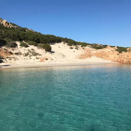 Family In Near Sea * Olbia
