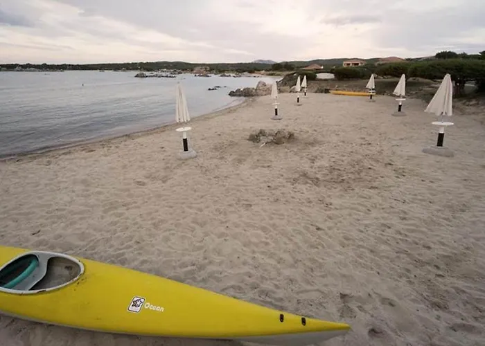 Family In Near Sea Olbia